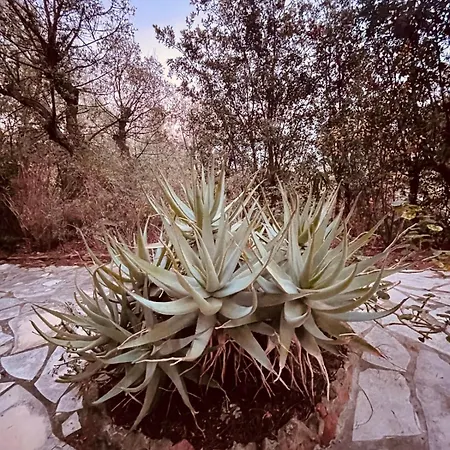 Villa Magnifique Climatise Avec Vue Ref Les Calanques *
